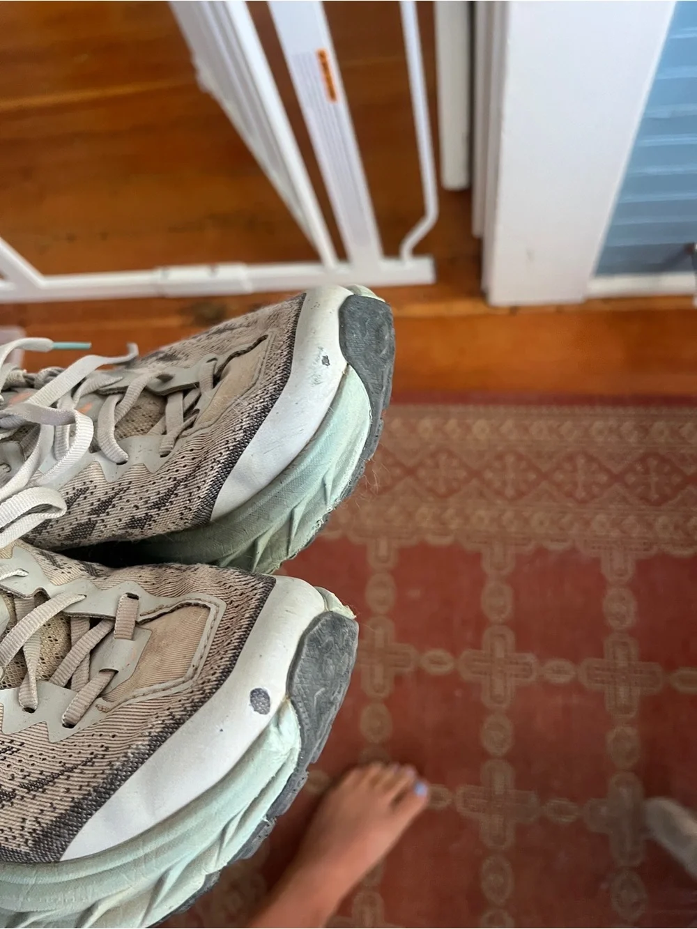 Hoka Women's Speedgoat 5 size 8/40